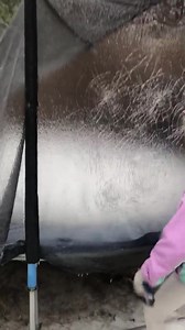 278K views · 857 reactions | FROZEN TRAMPOLINE! A family in Plano went outside to find a frozen trampoline in their backyard after the winter weather. Latest Weather Updates: https://bit.ly/3onofu3 | FOX 4 News | Facebook