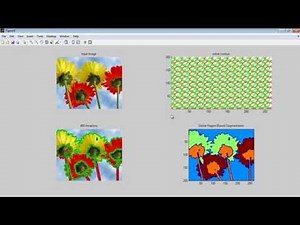 Mumford Shah Segmentation Matlab Code 3D projects