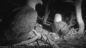 529K views · 30K reactions | In the wee hours of the morning, Jackie...