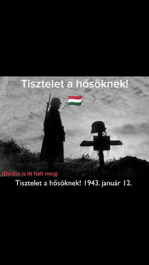 #Hungary #fy #foryou #History #donkanyar #tiszteletahősöknek #1943
