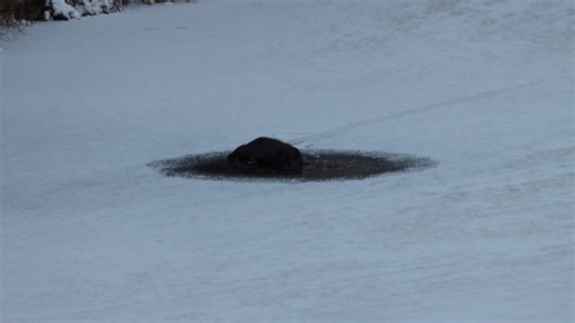 Marc Johnson on Reels