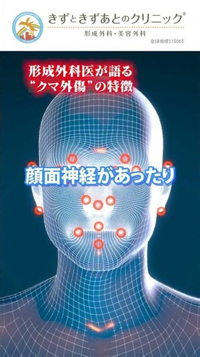 【熊被害】クマ外傷の9割は顔面損傷