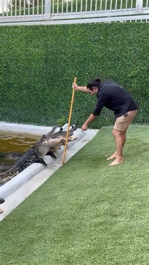 27K views · 397 reactions | Watch as George feeds the hungry hungry...