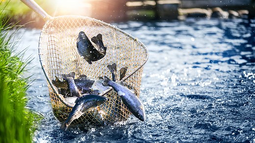 Where to get a fishing license in Lubbock