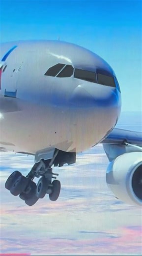 American Airlines A310