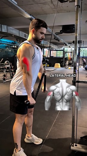 Salarfit on Instagram: "Three cable triceps moves🔥 one goal: full triceps development. Rope pushdown, reverse-grip pushdown, and straight-bar pushdown,each hits a different head. Train smart not random."