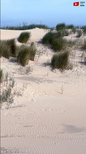 OOSTENDE 🇧🇪 Raversijde Duinen