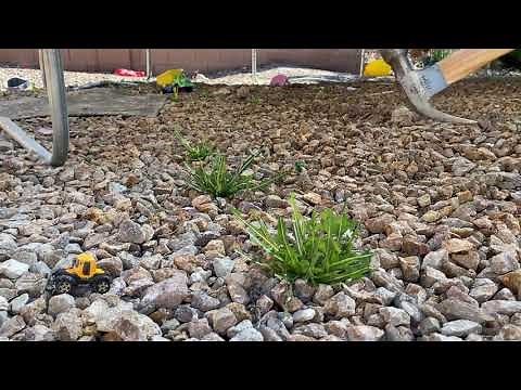 Claw Hammer: Best way to pull Weeds