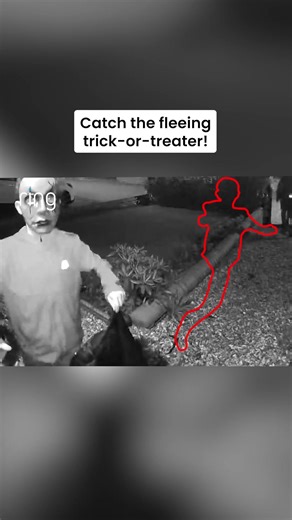 Happy Halloween! Trick or treating or not, can you catch this one? #Ring #Ad | Dadsnet