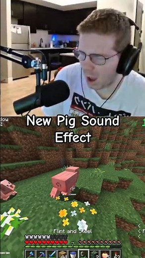 feinberg doesn't like the new pig sound effect #feinberg #minecraft