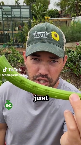 Just made a flute out of a squash! 🎶🪈 Big thanks to @Pawpawridgehomestead for the idea!