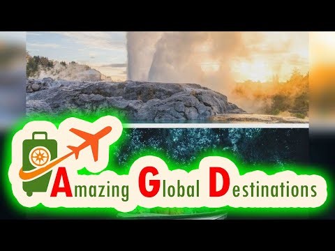 AGD - Review Waitomo Caves and Rotorua Te Puia Small-Group Tour from Auckland
