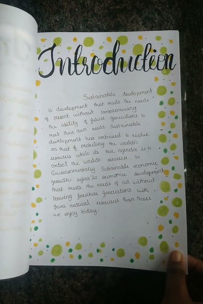 Project On Sustainable Development class 10