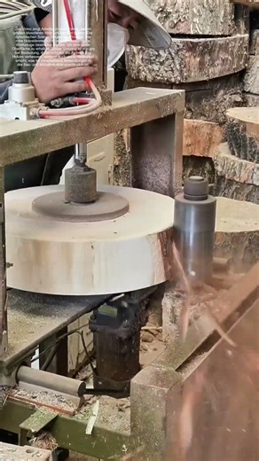 Holz schälen und glätten: Wie Maschinen die Natur formen