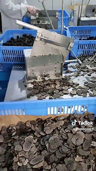 Sliced truffles to make dried truffle slices or truffle sauce.