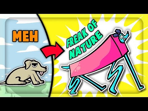 I Broke EVOLUTION in Wobbledogs