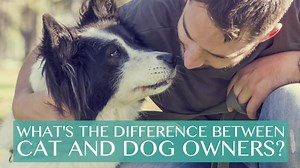 Here are the differences between cat people and dog people
