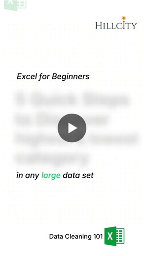 Excel for Business: Ranking Revenue Categories in Large Datasets | Hillcity Edgetech posted on the topic | LinkedIn