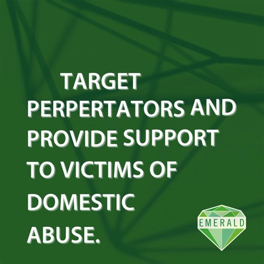 Our Emerald Proactive Arrest Team (EPAT), which was set up last January to help tackle domestic abuse (DA), has secured just over 200 arrests in its first 12 months. The team was put together to focus on making arrests, gathering intelligence, progressing manhunts and securing warrants. It also proactively monitors civil orders, such as domestic violence protection orders, which has given it a more proactive response to monitoring and disrupting offenders. As well as the 204 arrests directly mad