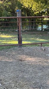 11K views | Brandon Fields on Reels | Facebook