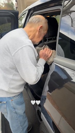 2.4M views · 69K reactions |  Help Bruno the Schnauzer Find Hope...