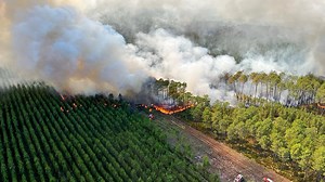 Video. Jetzt auch am Atlantik: Massive Waldbrände nahe Bordeaux