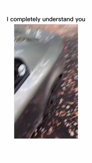 Exploring the Latest Memes and Trends