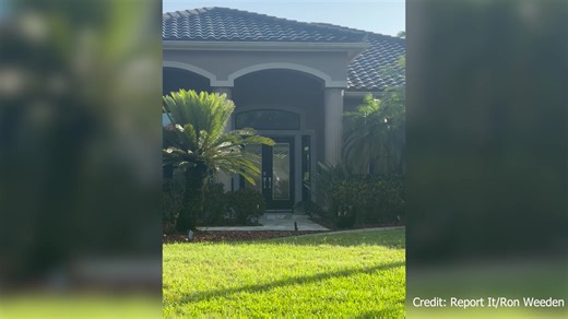 280K views · 1.2K reactions | GATOR VISIT  A viewer captured this video of a scaly visitor showing up to an Oldsmar home uninvited, with someone in the background calling it something straight out of "Jurassic Park." Read more: https://bit.ly/4k48i70 | WFLA News Channel 8 | Facebook