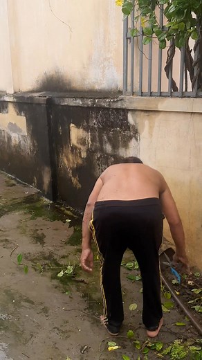 Bảo số 13 tiến về đất liền. Cắt tỉa cây phòng chống bão nhé quý vị | Ban Nhạc Thành Công