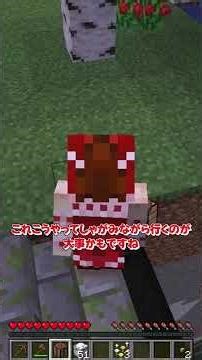 【ゆっくり実況】チャンクに触れるとランダムなブロックに変化する世界...【マイクラ】【ゆっくりすふれー】 #Minecraft #マインクラフト #ゆっくり実況