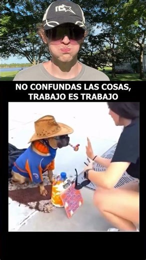 Trabajo es trabajo🤷‍♂️🐶