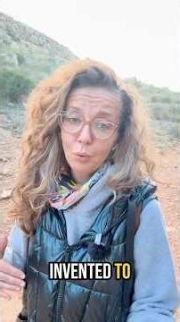 Productivity Is a Myth Your Nervous System Never Agreed To