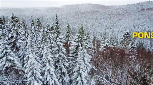 2.2K views · 617 reactions |  Greetings from QC, Canada! Hear the comments from Sylvain Doucet about how the Ponsse Mammoth made a big difference in their operations. #ponsse #logging #forestry #ponsse55 #aloggersbestfriend | Ponsse Oyj | Facebook