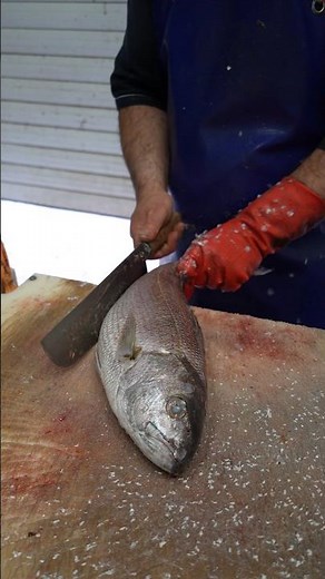 How to Clean Rosy Snapper in Seconds! (No Talking)