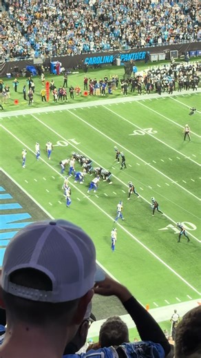 Carolina Panthers: Next Season Looks Promising