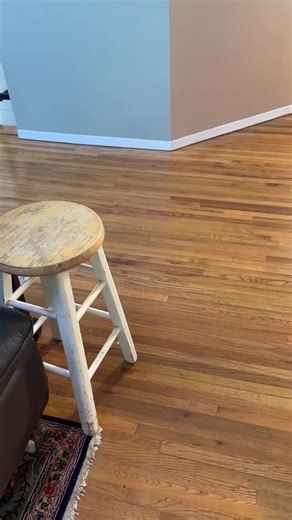 Today is Chewy vs the gate It’s been like this since 11 am and it’s still going now. I bring him back to sit with me and he just runs back to teach the gate a lesson #dementia #pomeranian #dandelions #alopecia #rescuedog #dog #rotisseriechicken