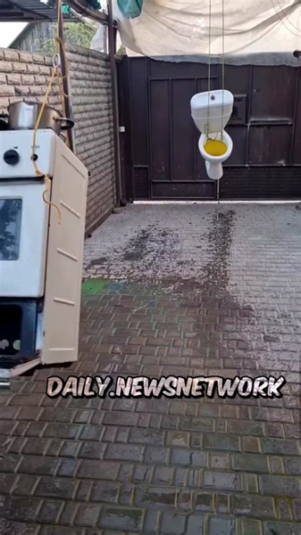 Daily News Network (@daily.newsnetwork)’s videos with original sound - Daily News Network