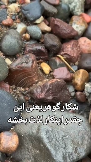 “$10,000 Agate Crystal Found Inside Rock 💎 | Hidden Gemstone Discovery” #youtubeshorts #gemstones