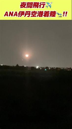 #ANA夜間飛行🌙⭐️着陸寸前を真下から見る👀‼️#ana #エアライン #aviation #飛行機 #planespotting #ランディング #着陸 #伊丹空港 #shorts