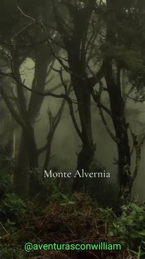 ✅Monte entre Envigado y el Retiro, Antioquia 🇨🇴#paisajes #mensajes #reflexion #motivation #amor