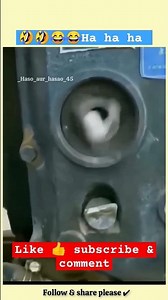 Funny Mouse Video | Hilarious Moments 😂🐭