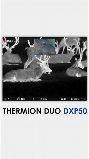 Advanced tech, precise optics, and unmatched Thermion Duo DXP50 performance in action. #pulsarvision