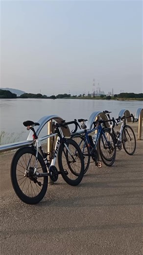 ロードバイクの魅力とレースシーン