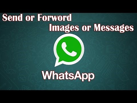 Forward Whatsapp Messages