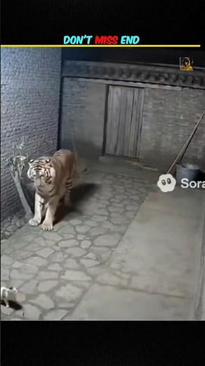 funny pet video 😅#shorts