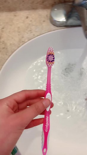 how to actually bathe your hedgehog 🦔 This is my baby James 🥰#hedgehog #bath #foryou #foryoupage