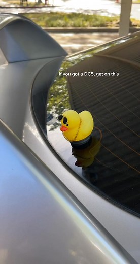 Timmy Nguyen on TikTok