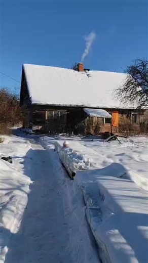 Home Renovation Update: Progress and Plans