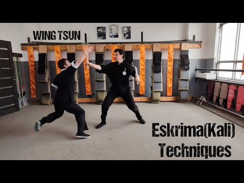 Armenian Wing Tsun, Sifu Sergey Hovakinyan. Eskrima Techniques