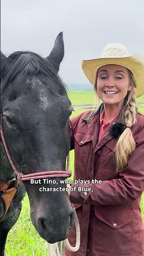 Amber Marshall introduces horses Blue and Stetson 🐴
